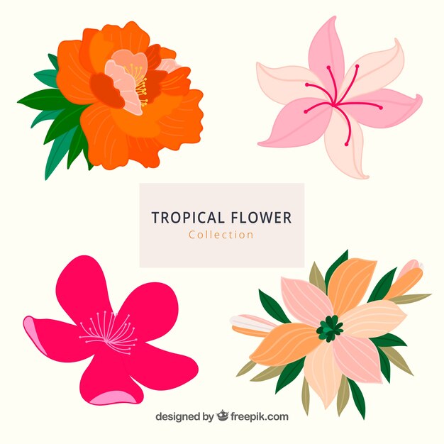 Conjunto adorable de flores tropicales dibujadas a mano