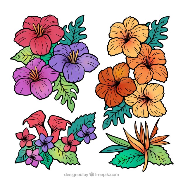 Conjunto adorable de flores tropicales dibujadas a mano