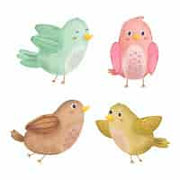 Vector gratuito conjunto de adorables pájaros en varios gestos acuarela.