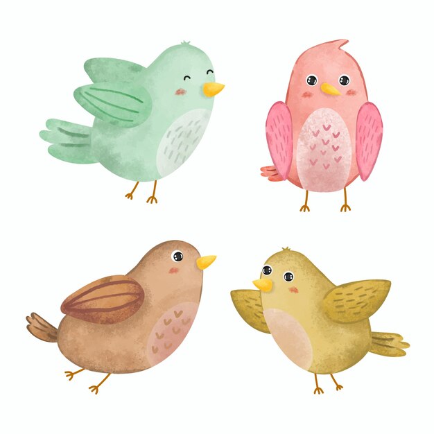Conjunto de adorables pájaros en varios gestos acuarela.