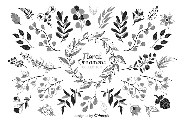 Conjunto de adornos florales dibujados a mano
