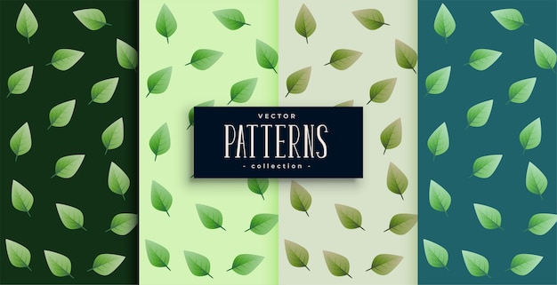 Conjunto agradable de patrones sin fisuras de hojas verdes