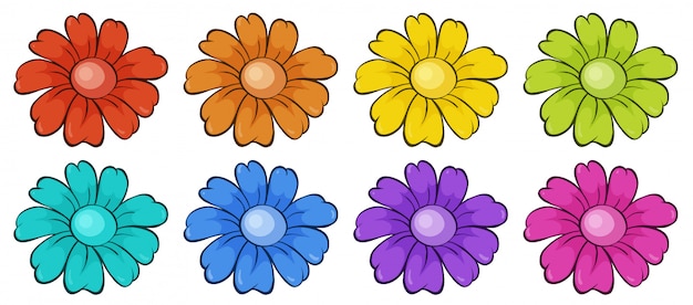 Vector gratuito conjunto aislado de flores