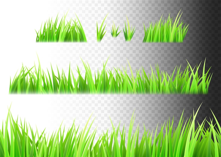 Vector gratuito conjunto aislado de hierba. mechones de hierba.
