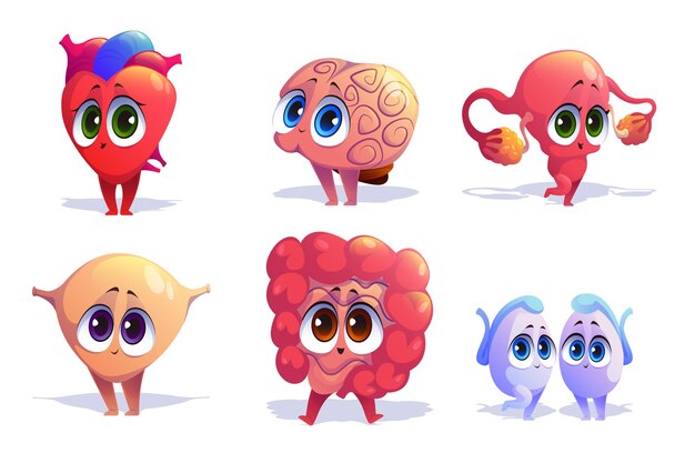 Conjunto aislado de personajes de dibujos animados de órganos del cuerpo humano