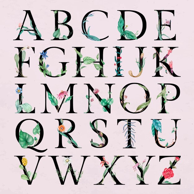 Conjunto de alfabeto de flores decoradas letras botánicas