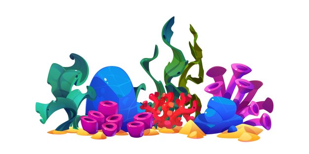 Conjunto de algas coloridas para el diseño del fondo marino aisladas sobre fondo blanco Ilustración de dibujos animados vectoriales de plantas exóticas de arrecifes de coral que crecen en la arena especies de flora submarina elementos de diseño de acuario