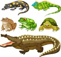 Vector gratuito conjunto de animal reptil.