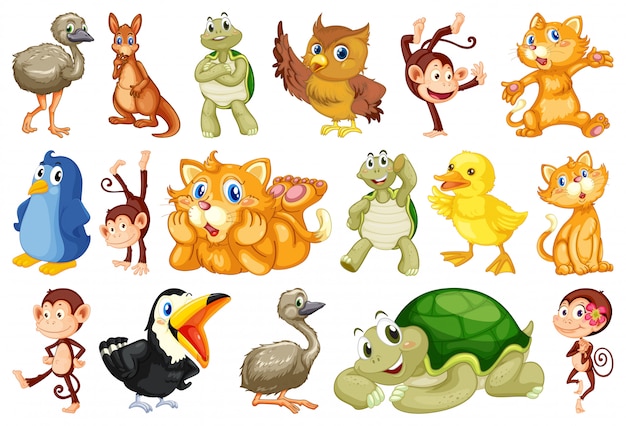 Vector gratuito conjunto de animal salvaje