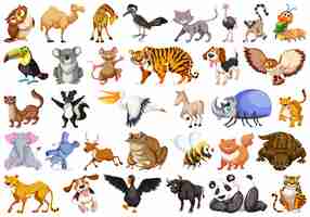 Vector gratuito conjunto de animal salvaje