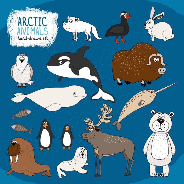 Conjunto de animales árticos dibujados a mano sobre un fondo azul frío con un oso polar