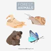 Vector gratuito conjunto de animales del bosque en acuarela