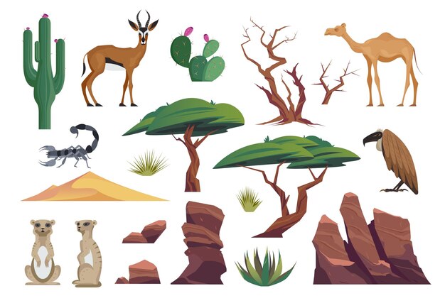 Conjunto de animales del desierto con íconos aislados de arenas cactus arbustos árboles animales salvajes aves y escorpio vector ilustración