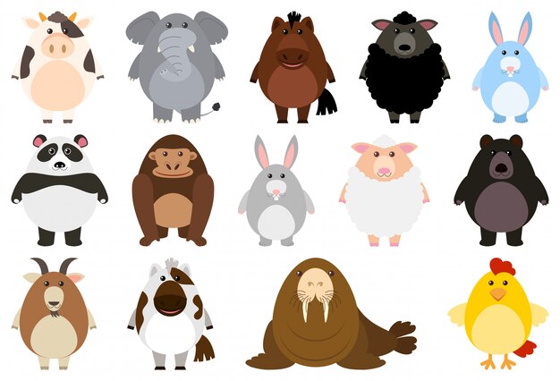 Conjunto de animales de dibujos animados