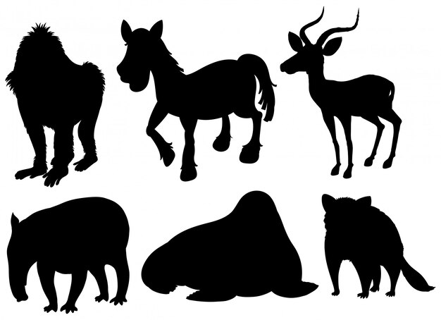 Conjunto de animales exóticos ilustración