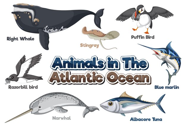 Conjunto de animales en el océano Atlántico