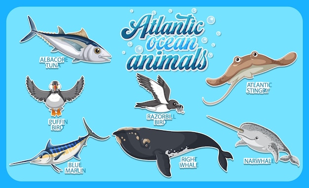 Vector gratuito conjunto de animales en el océano atlántico