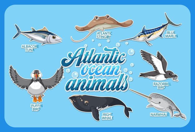 Conjunto de animales en el océano Atlántico
