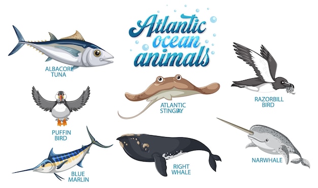 Vector gratuito conjunto de animales en el océano atlántico