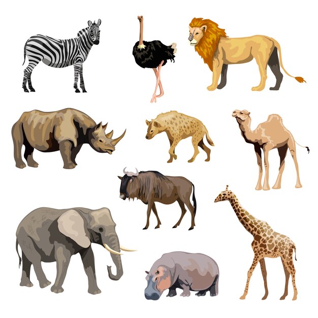 Conjunto de animales salvajes africanos