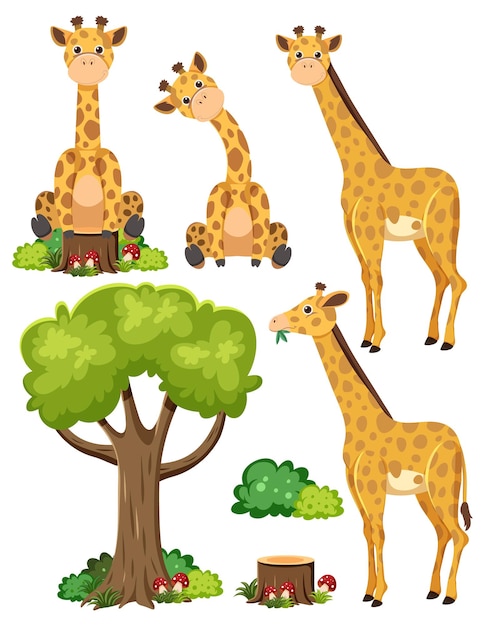 Conjunto de animales salvajes con elementos de la naturaleza.