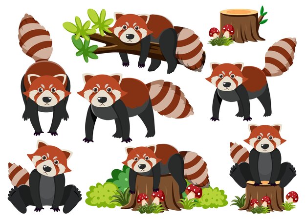 Conjunto de animales salvajes con elementos de la naturaleza.