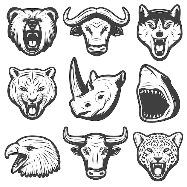 Vector gratuito conjunto de animales salvajes vintage