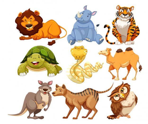 Conjunto de animales salvajes