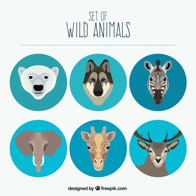 Conjunto de animales salvajes