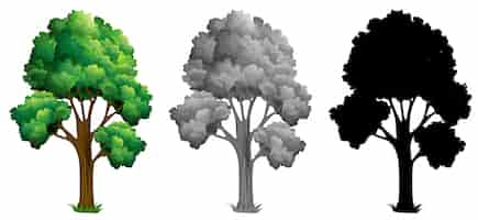 Vector gratuito conjunto de arbol aislado