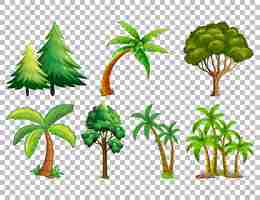 Vector gratuito conjunto de árbol en transparente