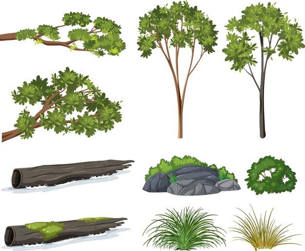 Conjunto de árboles aislados y objetos de la naturaleza.