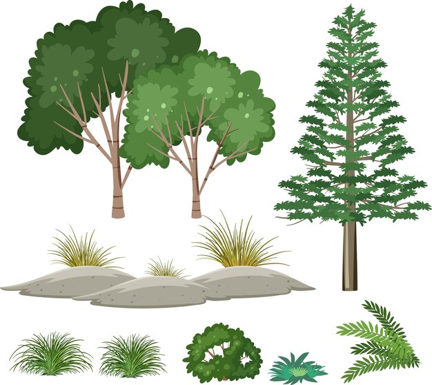 Conjunto de árboles aislados y objetos de la naturaleza.