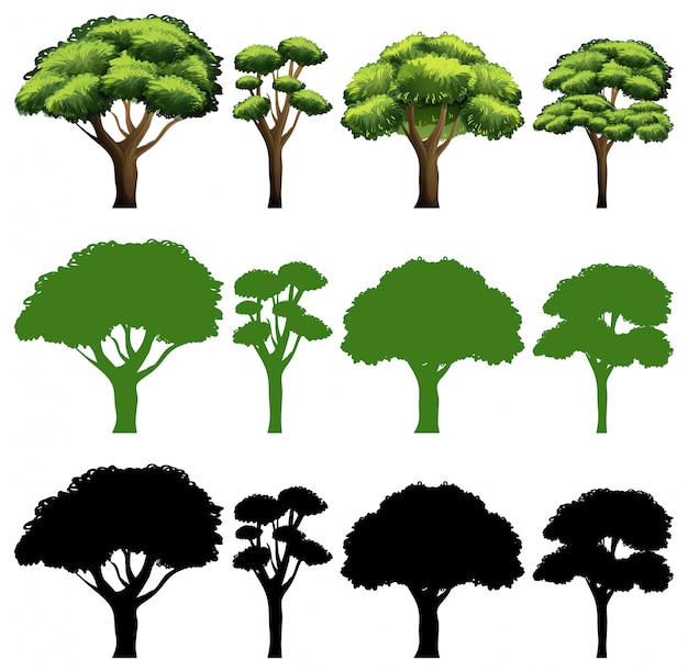 Vector gratuito conjunto de arboles de diferente diseño.