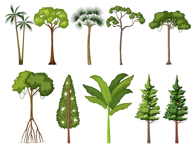 Vector gratuito conjunto de árboles tropicales aislados