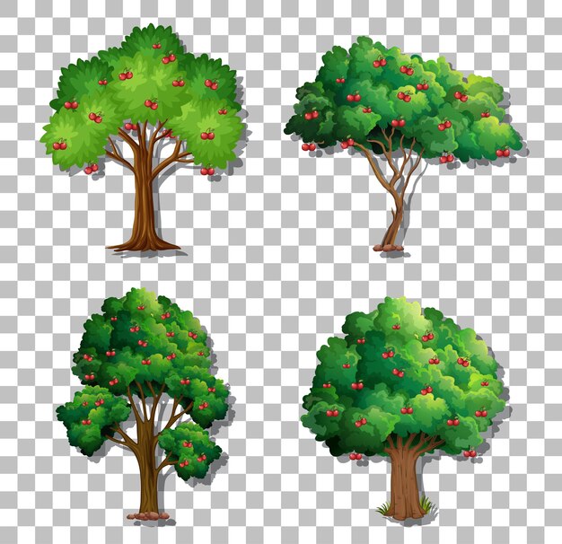 Conjunto de árboles de variedad sobre fondo transparente