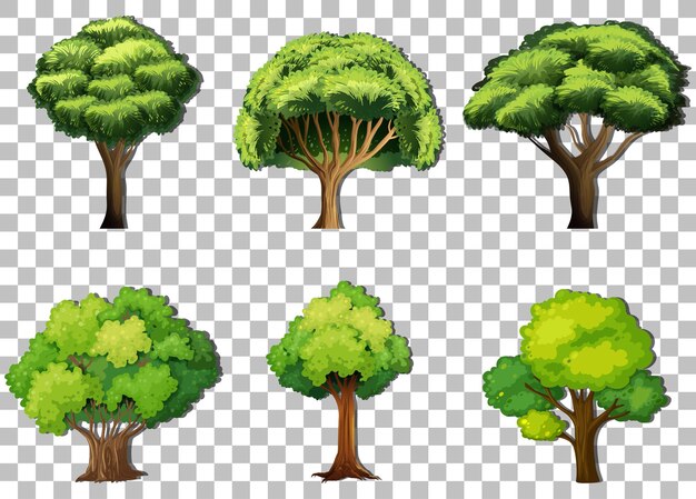 Conjunto de árboles de variedad sobre fondo transparente