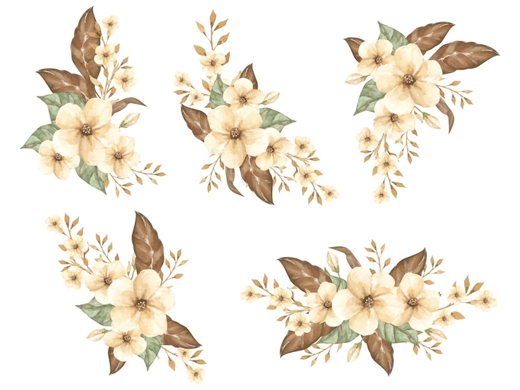 Vector gratuito conjunto arreglo ramo de flores blancas pintura