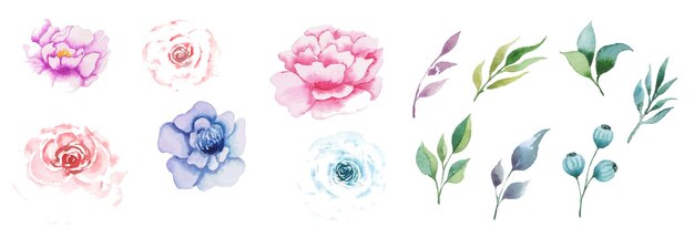 Conjunto de arte floral acuarela dibujado a mano