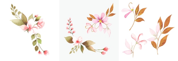 Conjunto de arte floral acuarela dibujado a mano