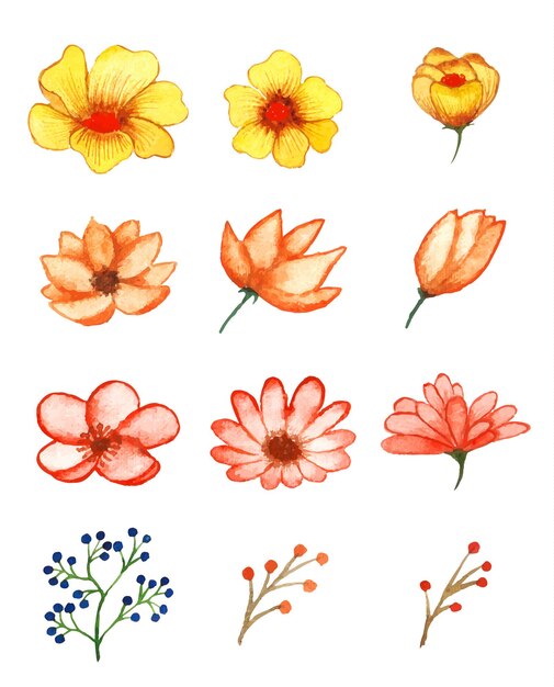 Conjunto de arte floral acuarela hecho a mano