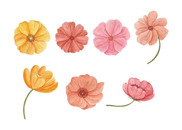 Conjunto de arte de flores de acuarela dibujada a mano