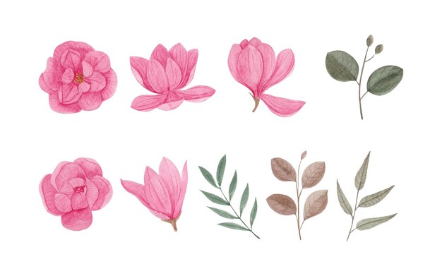 Conjunto de arte de flores y hojas de acuarela dibujada a mano
