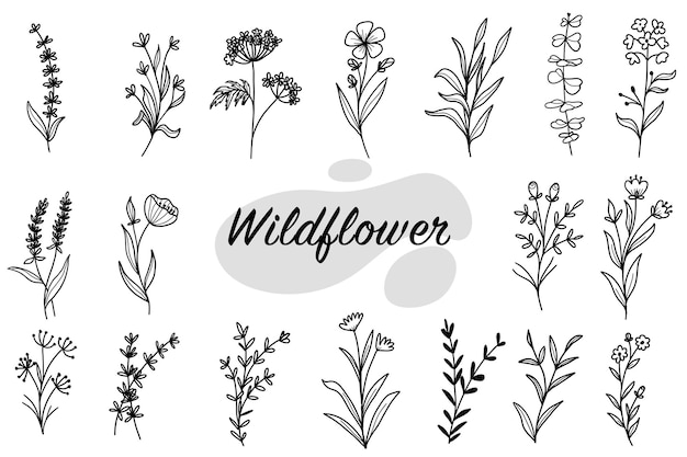 Vector gratuito conjunto de arte de línea de flores silvestres de doodle de hoja botánica