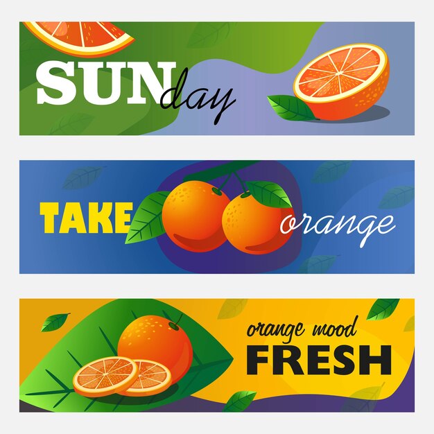 Conjunto de banners de cítricos. Frutas y hojas naranjas enteras y cortadas ilustraciones vectoriales con texto. Concepto de comida y bebida para el diseño de volantes y folletos de barras frescas