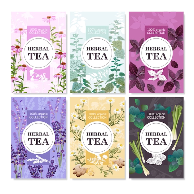 Conjunto de banners de colores de té de hierbas