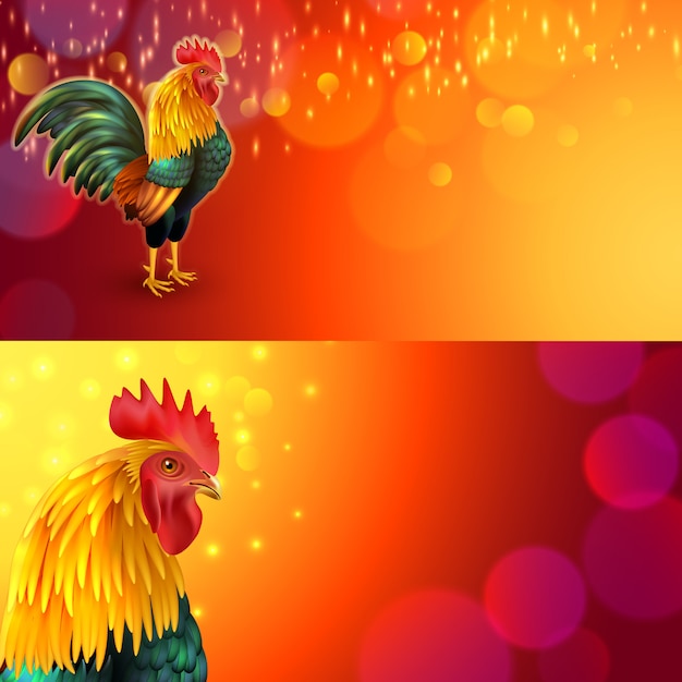 Vector gratuito conjunto de banners de gallo