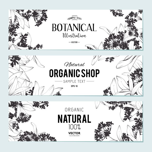 Conjunto de banners de plantas y hierbas. Elemento para diseño o tarjeta de invitación.