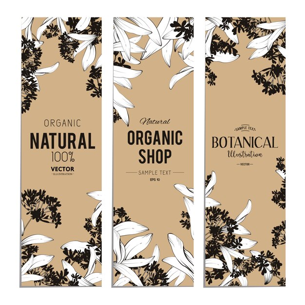 Conjunto de banners de plantas y hierbas. Elemento para diseño o tarjeta de invitación.