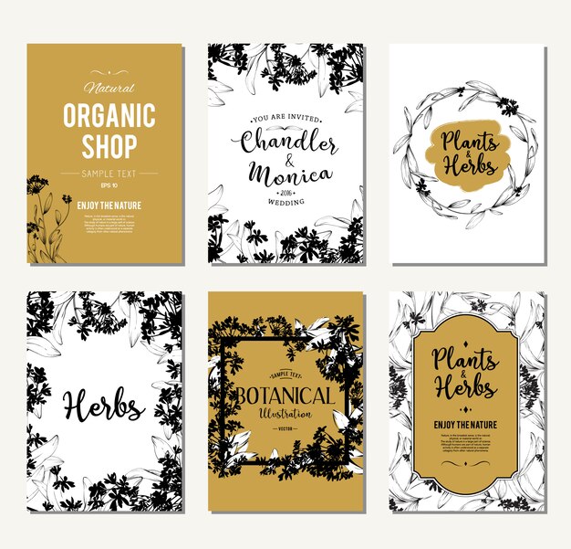Conjunto de banners de plantas y hierbas. Elemento para diseño o tarjeta de invitación.
